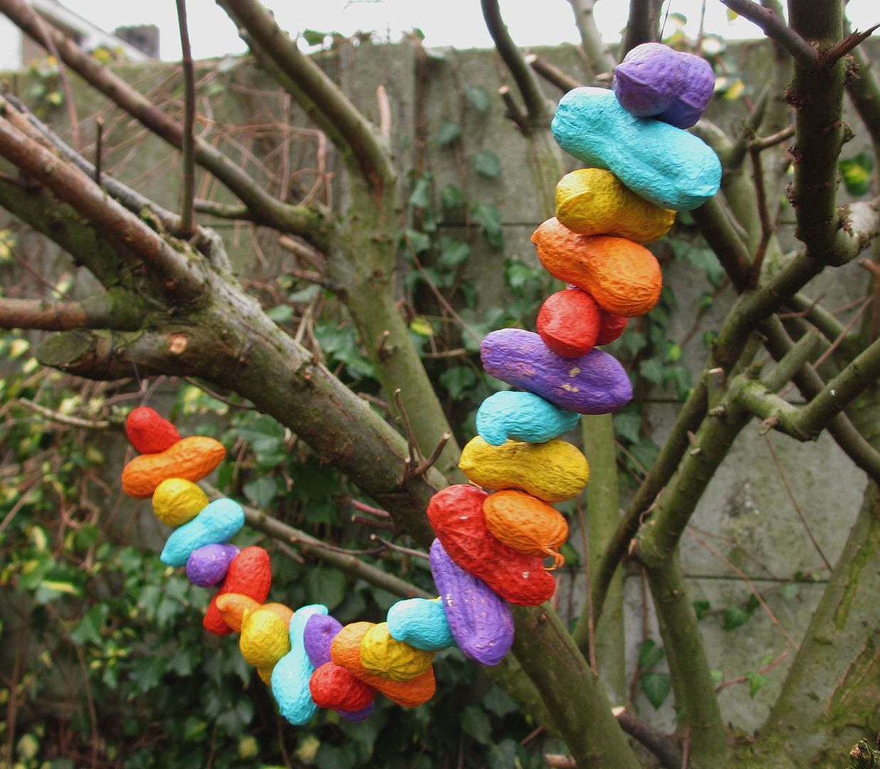 rainbowpeanutbirdfoodgarland5_zps28e4c9e7.jpg Photo by mariellec